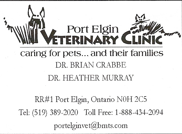 P E Veterinary Clinic